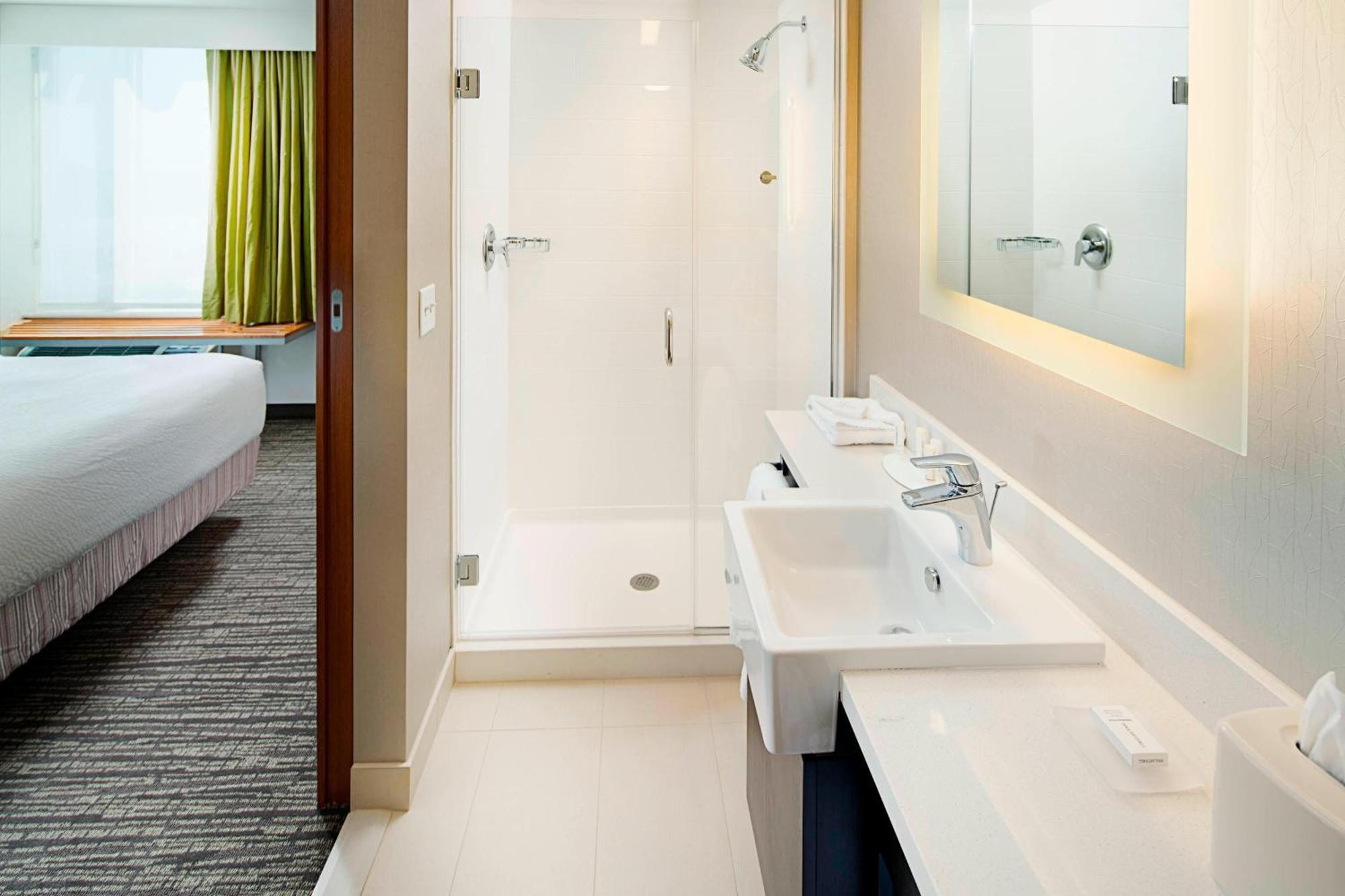 Springhill Suites By Marriott Carle Place Garden City Esterno foto